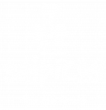 salpicoscomamor